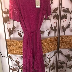 Brand New Danny and Nicole lace dress